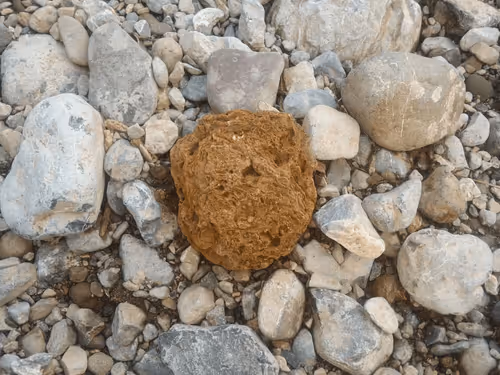 Item #68670355271276501247997473606349688435617692344010401022345500984132495212545 Media