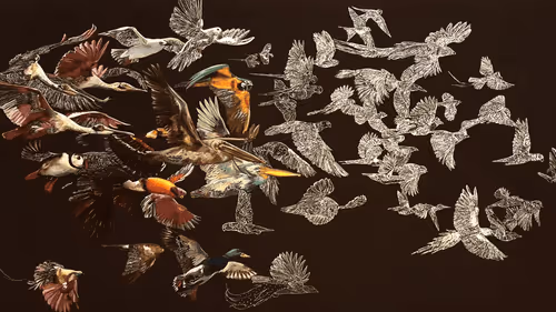 Item #41364325686906757804932648281715264740623394813401630182561487546747533131777 Media