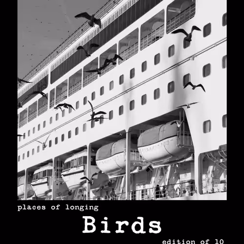 Item #54092708251689304060008626725907944876680074354438048784149165881541850562570 Media