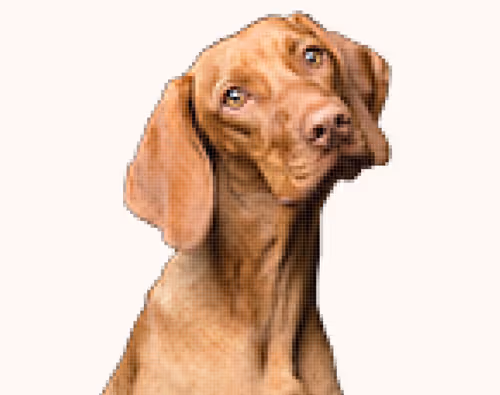 Item #47256341383618878615796711577528104417758434794724361060343154303485662461953 Media