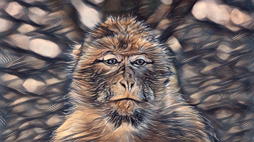 Item #54593652383459731767777383320415424164820202733853921615926635503531103092737 Media