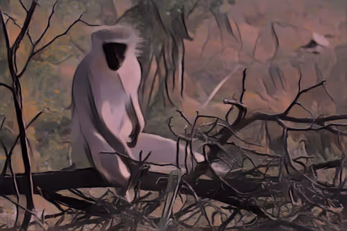 Item #54593652383459731767777383320415424164820202733853921615926635496934033326081 Media