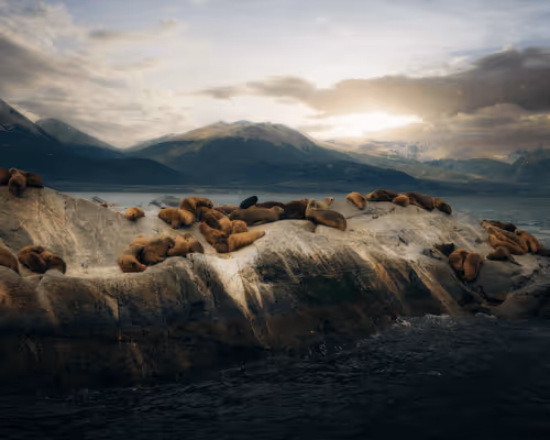 Item #95250341552603206711751796114019821210618634287178047557628860956948018757633 Media