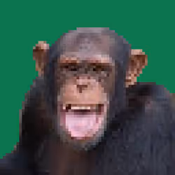 49051871974728512723743709727512141918678316039656509398512956697289701720065