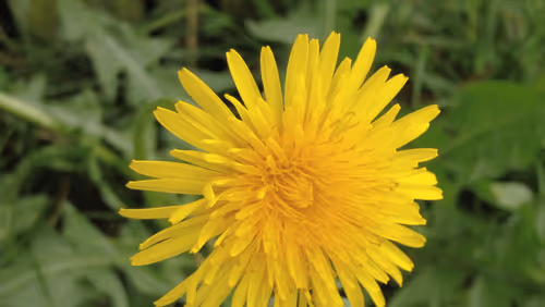 Item #98679578177621649628089872010712381059223698631184272161596299644353621524481 Media