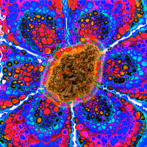 13955282856406335165414100891374623718709547313428947888299034040719206515688