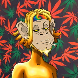 MONKEYHYPE #672