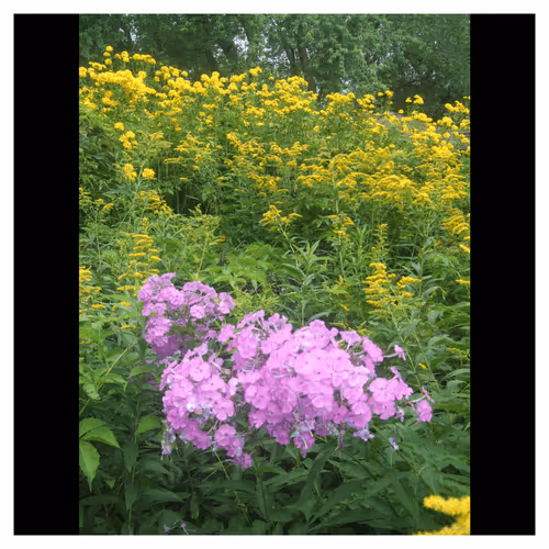 Item #111445205999481533169073477275871322289148374511979527118756874433031928020993 Media