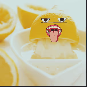 Untitled Collection #493494088