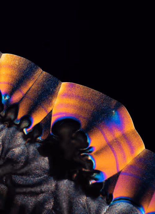 Item #10963747158726230323476698717181339106024031103904100561308612027075214180353 Media