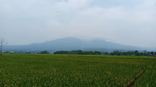 Item #68356916031059924921230192194445693761239192572255149021970435640507158757377 Media