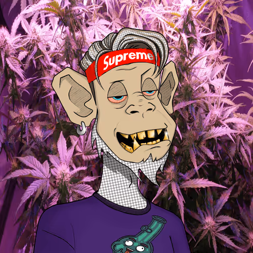 Item #87628844057707677867855071746606653298040070471345875671116125365714206851073 Media