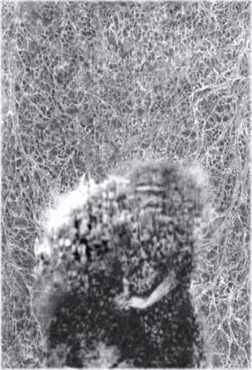 Item #67553364102704910052786438722982539447022718177836165747965600760477931012097 Media