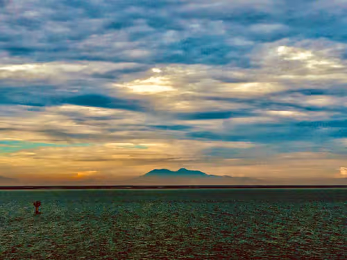 Item #32769210603330532054314484289923207920877555027971968536748508226200071569409 Media