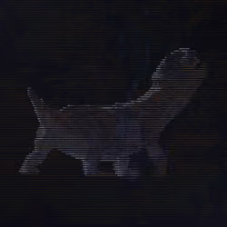 73788490183614268462378126413555843777384862160728538808510502490445109526529