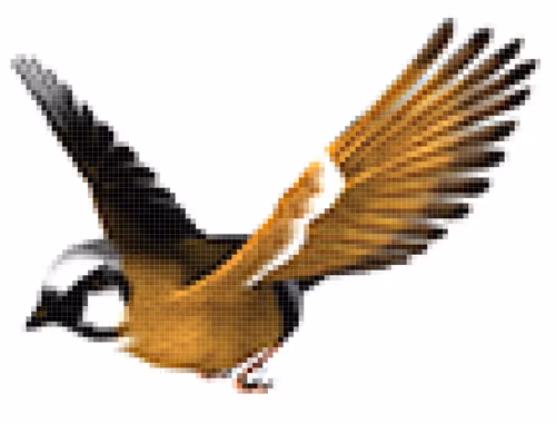 Item #47256341383618878615796711577528104417758434794724361060343154294689569439745 Media