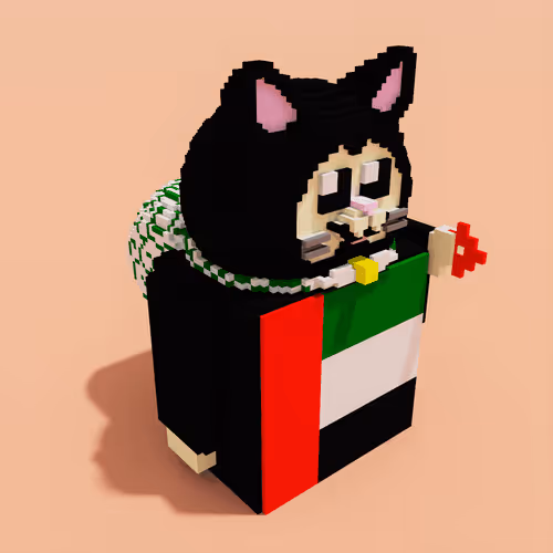 20'#United Arab Emirates（cat）
