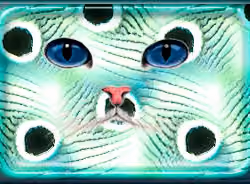 CatFace #013