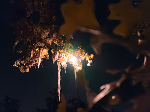 Item #107060658238608786728098093572843929630917480642819162309571408043837497540658 Media