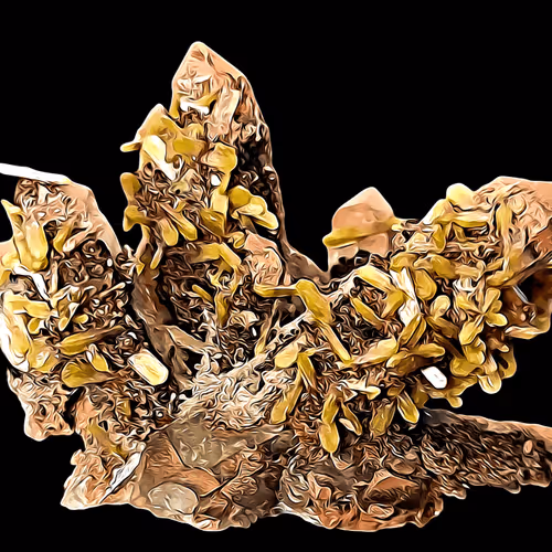 Item #94096604826532313810021462276079008274490893871398392433461387132259025289280 Media