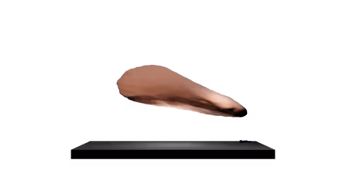 Item #31399076417829687884633412793720728563152083720324610050236972896657384407041 Media