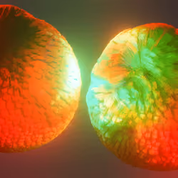 Fuzzy balls #8