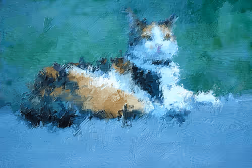 Item #102913120143002098146872156634994313704115990316397104109370149495201941422081 Media