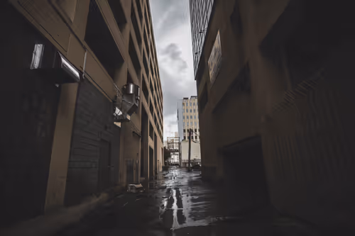 Item #16988134278330383505679479326290154646879637875533062132320205757732081369089 Media