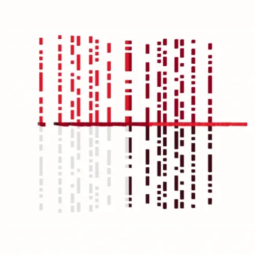 003-Photon 1