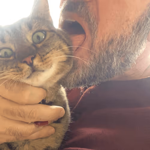 Untitled Collection #125858464