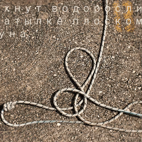 Item #48582175902660253739567181783807763023013925201969392418370611510415431041025 Media