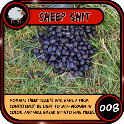 Big Shit #008