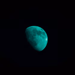 Moonlit #4 Greenish