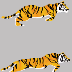 Tiger 6