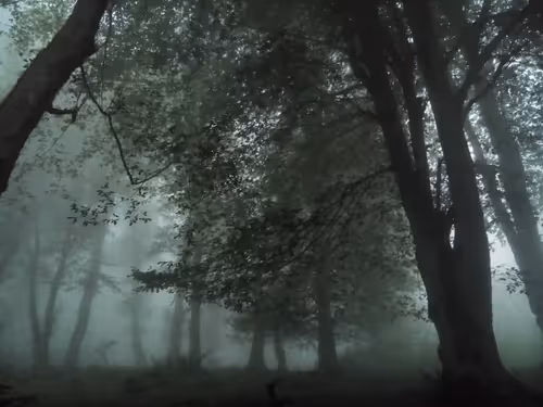 Item #97219865858787663326181629468222283976607091941944133530001367219351828037633 Media