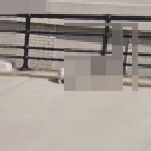 Item #92242921565534201760752392628057173573790034273857792953783282099328649265153 Media