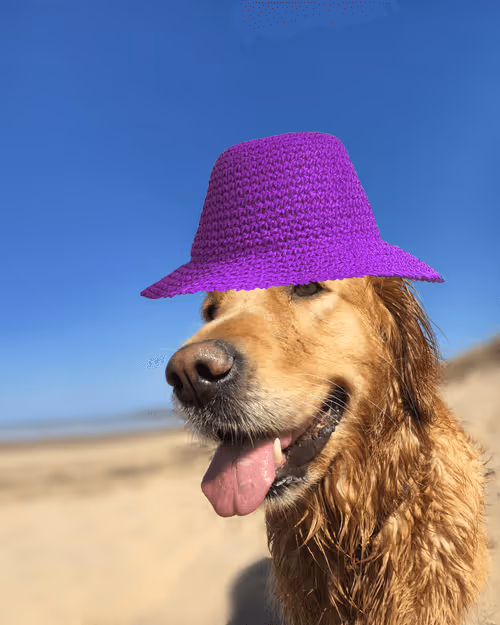 Item #26839399415497039076862880694069072006331525189107682525417321813771900944385 Media