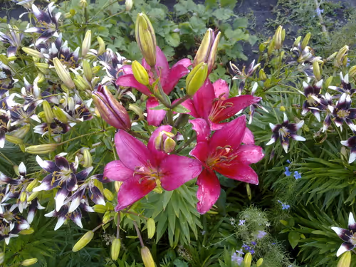 Item #41983459946325006344850038724007157971914249844141491949312561986322277859329 Media