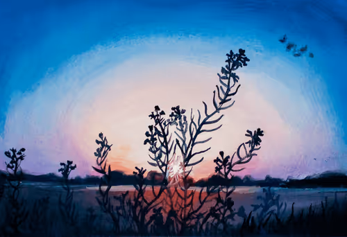 Item #115222552306876510589516406720161190339564757809924329252710115459883841093633 Media