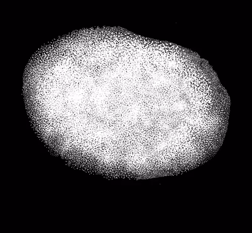 Item #48216677678887992956199146050101977369740452437452834237877791493774957871105 Media