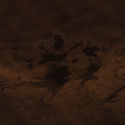 Dune