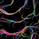 55591599416296722052142900417536953165558946961268628460432838804129714274305