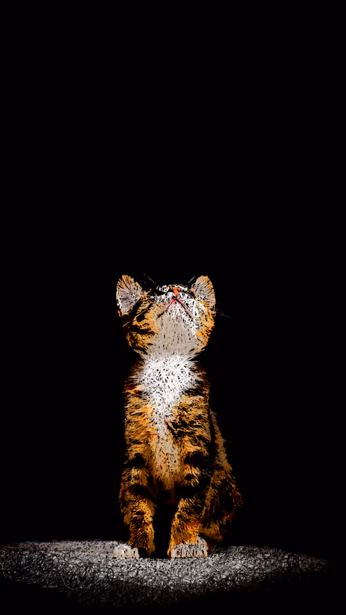 Item #20286817641922993541065929101952433978531825078991625494647867618486636249089 Media