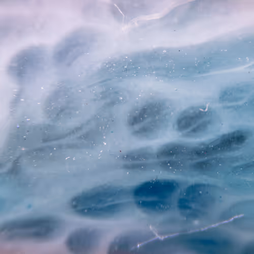 Item #8251270981130702250905355697814279819197198943221984468281114944789832269825 Media