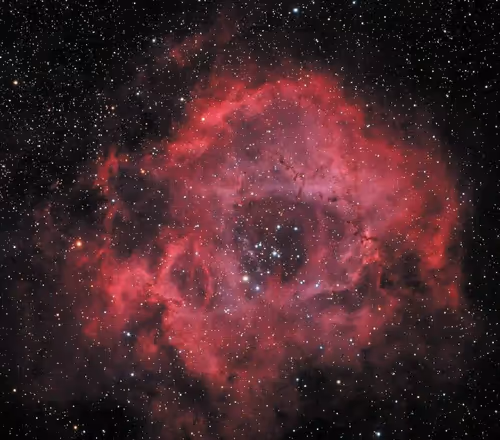 Untitled Collection #77096558