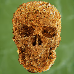 47176454807076825679431215681833454926344141321117842083750283187322611564545