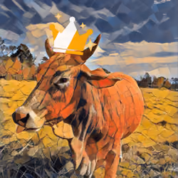Majestic Cow