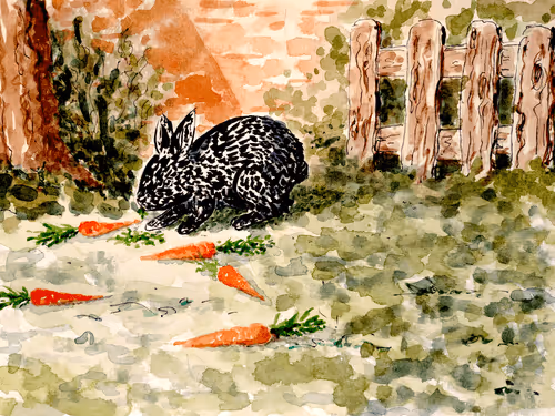 Untitled Collection #135552506