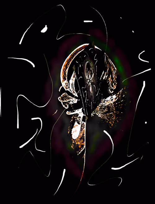 Item #88550933380159429652573600088596543452217115268663300900517750238624205504517 Media