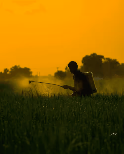 Item #9104047852343460824823657095955061139286762947505329334286274207111310213121 Media